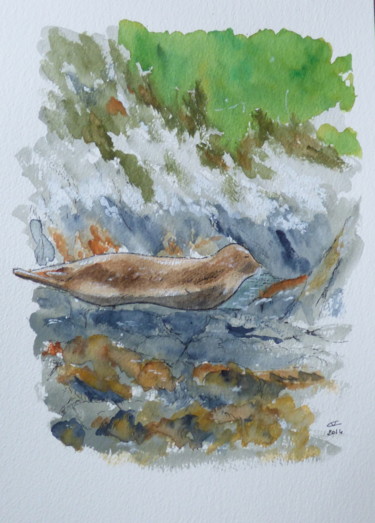 Painting titled "The seal is here !" by Véronique Crombé, Original Artwork, Watercolor