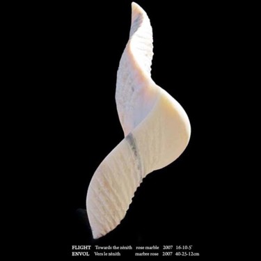 Sculpture intitulée "ENVOL" par Marian Sava, Œuvre d'art originale