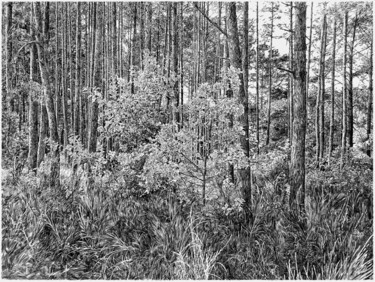 Arts numériques intitulée "Sans titre" par François Lapouge, Œuvre d'art originale, Travail numérique 2D