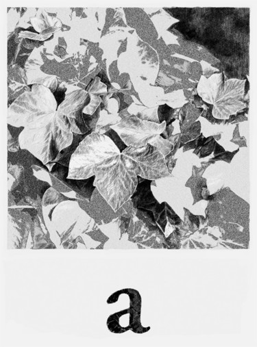 Arts numériques intitulée "Abécédaire : a" par François Lapouge, Œuvre d'art originale, Travail numérique 2D