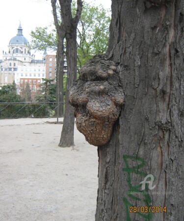 MADRID / VIEIL HIDALGO / 2014-03-28-001-022.jpg "MADRID / VIEIL HIDA…" başlıklı Fotoğraf Annick Couëdel tarafından, Orijinal sanat