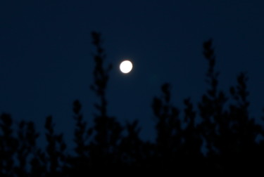 PLEINE LUNE (ce matin)