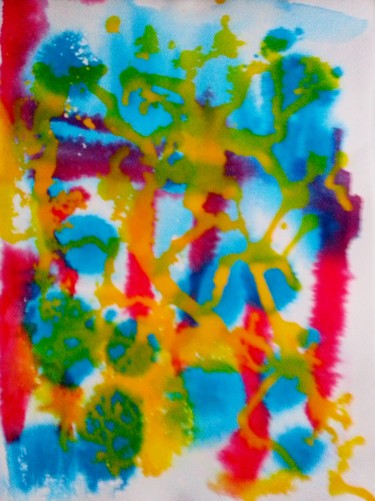 Ocean 26 "Une vie en couleurs"