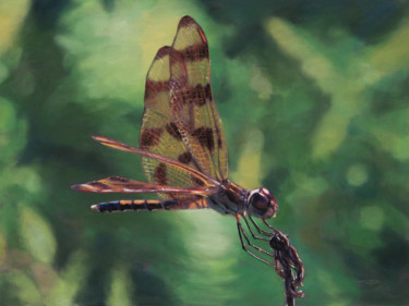 Painting titled "Enter The Dragon" by Reidsart, Original Artwork, Pastel