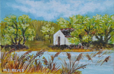 Paysage de camargue
