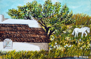 Manade en Camargue