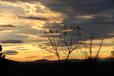 Lever de soleil en Allier