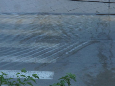 img-1851.jpg