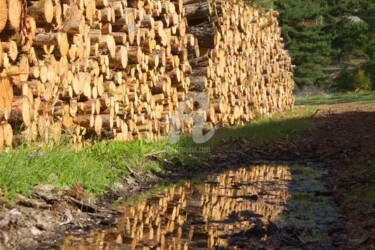 Photographie intitulée "Magie et beauté de…" par Chrisart, Œuvre d'art originale