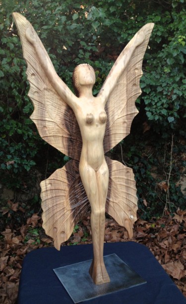 Si j'avais des ailes