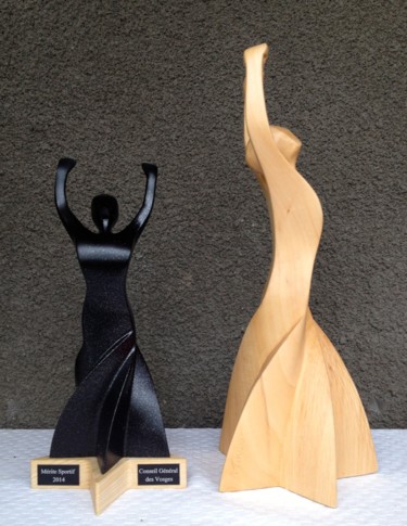 trophées sport 2014