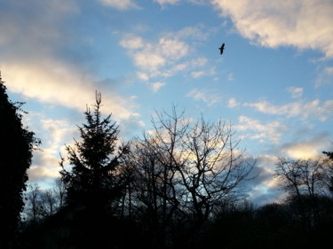 Rien qu'un ciel 1