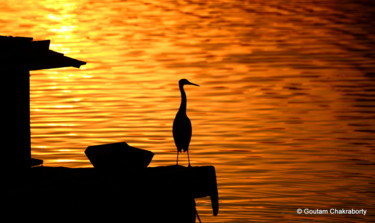 Photographie intitulée "Painting with Light!" par Goutam Chakraborty, Œuvre d'art originale