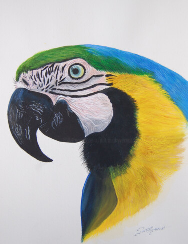 portrait d'un ara- aquarelle signée Peinture intitulée "portrait d'un ara-…" par Patricia Giroldini Hyvernat, Œuvre d'art originale, Aquarelle