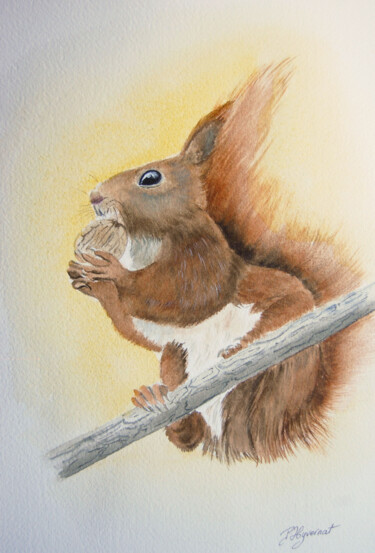 Peinture intitulée "écureuil -  aquarel…" par Patricia Giroldini Hyvernat, Œuvre d'art originale, Aquarelle