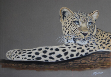 jeune femelle leopard -pastel original signé Drawing titled "jeune femelle leopa…" by Patricia Giroldini Hyvernat, Original Artwork, Pastel