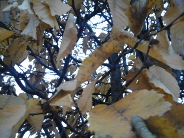 Photographie intitulée "Autumn" par Giart, Œuvre d'art originale, Photographie numérique