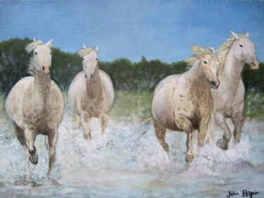 Peinture intitulée "Chevaux camarguais" par John Regnier, Œuvre d'art originale, Huile