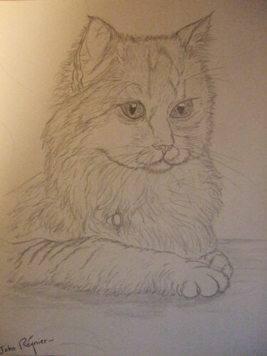 图画 标题为“Portrait de chat” 由John Regnier, 原创艺术品, 铅笔