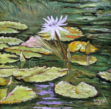 FLORAISON AQUATIQUE
