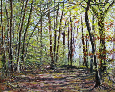 FORET COTE SUD
