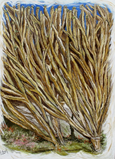 VARIATIONS CACTEES