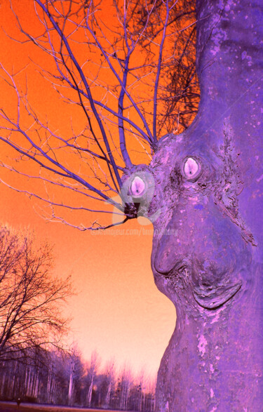 Arts numériques intitulée "Arbre vivant en bor…" par Bruno Antony-Thouret (bruno antony), Œuvre d'art originale, Photo monta…