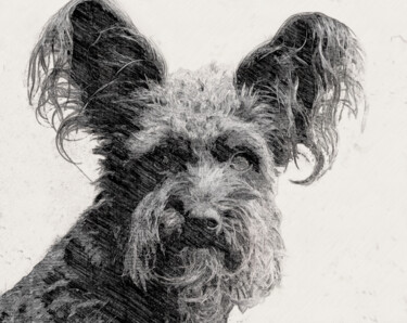 bridget-at-three.jpg Digital Arts titled "bridget-at-three.jpg" by Ruta Sevo, Original Artwork