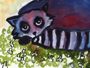 Raccoon in Clover Patch