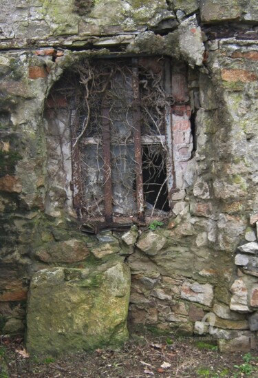 IL ETAIT UNE FOIS... -001-015.jpg Photographie intitulée "IL ETAIT UNE FOIS..…" par Annick Couëdel, Œuvre d'art originale