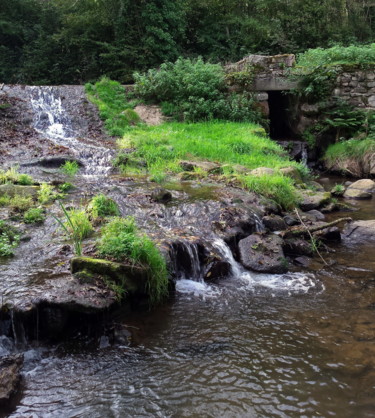 Photographie intitulée "Aveyron" par Pascal Buffard, Œuvre d'art originale