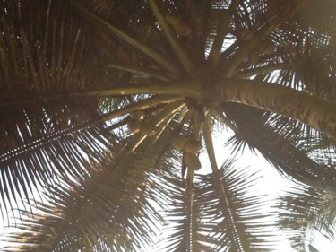 Photography titled "coco" by Fanny Touchet, Original Artwork