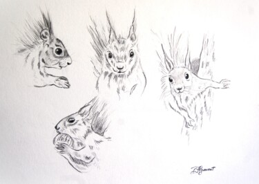 écureuil roux -dessin original signé Drawing titled "écureuil roux -dess…" by Patricia Giroldini Hyvernat, Original Artwork, Graphite