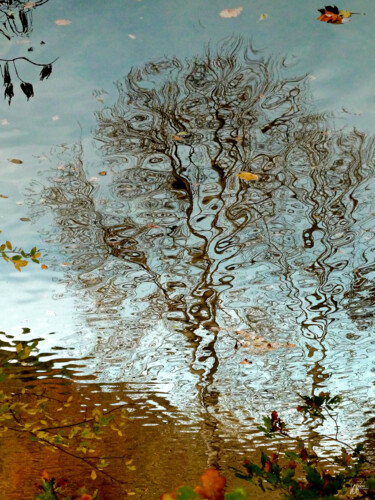 Photographie intitulée "Eve" par Loïc Le Douce (logan108), Œuvre d'art originale