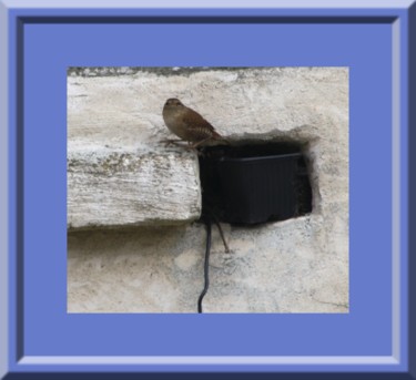 troglodyte.jpg Photographie intitulée "troglodyte.jpg" par Marie-José Longuet, Œuvre d'art originale, Photographie numérique