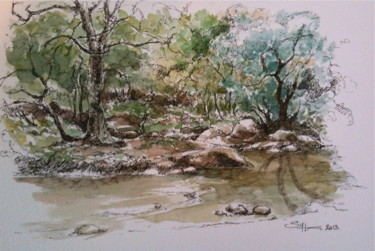 Peinture intitulée "Rivière" par Sylvain Thevenon, Œuvre d'art originale, Aquarelle