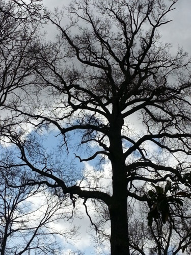 Photographie intitulée "Rien qu'un ciel 19" par Brigitte Mathé (MBL), Œuvre d'art originale