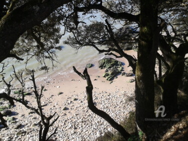 摄影 标题为“PLAGE D'AVRIL .jpg” 由Annick Couëdel, 原创艺术品
