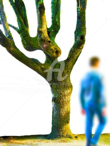 Arts numériques intitulée "Oisarbre Vs Hologra…" par Bruno Antony-Thouret (bruno antony), Œuvre d'art originale, Photo monta…