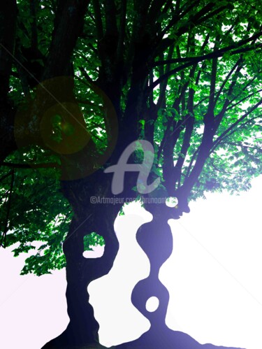 Arts numériques intitulée "Oisarbre vers la lu…" par Bruno Antony-Thouret (bruno antony), Œuvre d'art originale, Photo monta…