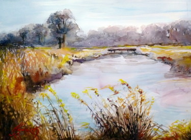 Peinture intitulée "Etang de La Dombes…" par Pierre Feyeux, Œuvre d'art originale, Aquarelle
