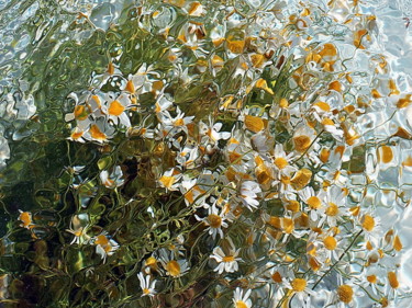 제목이 "petites marguerites"인 사진 Aquartistiq로, 원작, 디지털