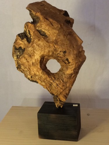 Sculpture intitulée "Regard" par Paul Crochat, Œuvre d'art originale, Bois