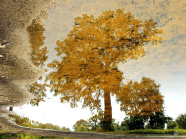 Photographie intitulée "Emmarbre dorée" par Loïc Le Douce (logan108), Œuvre d'art originale