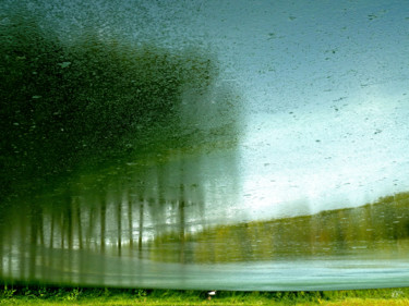 Photographie intitulée "Arboréale" par Loïc Le Douce (logan108), Œuvre d'art originale