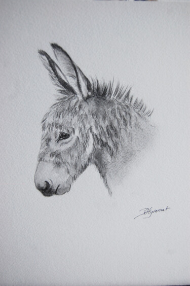 l'anon - dessin crayon-original signé Drawing titled "l'anon - dessin cra…" by Patricia Giroldini Hyvernat, Original Artwork, Pencil