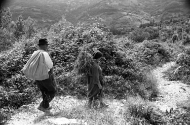 Photography titled "Verso casa" by Giuseppe Persia, Original Artwork, Analog photography