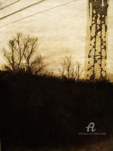 Photographie intitulée "helene-mongin-arbor…" par Hélène Mongin, Œuvre d'art originale