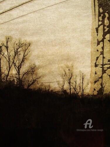 Photographie intitulée "helene-mongin-arbor…" par Hélène Mongin, Œuvre d'art originale