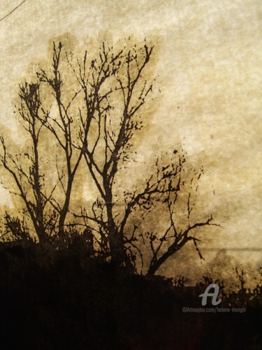 Photographie intitulée "helene-mongin-arbor…" par Hélène Mongin, Œuvre d'art originale